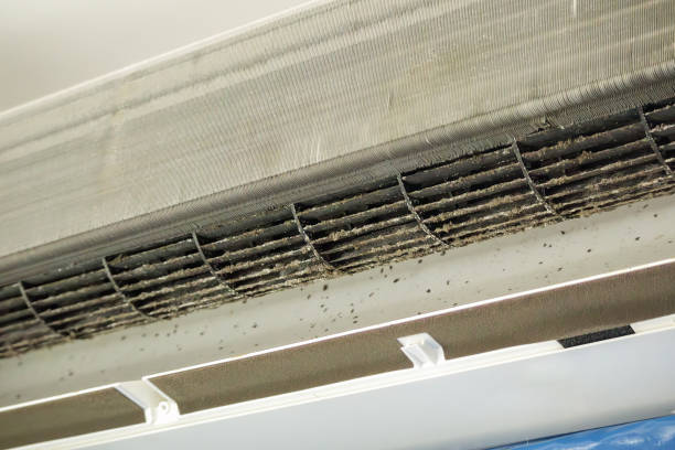 Best HVAC Duct Inspection Services  in Westlake, OH